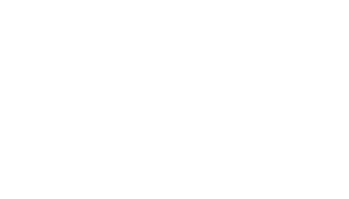 twins